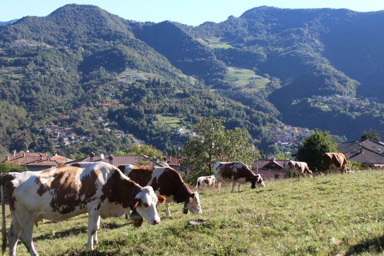 A Ca Reste Capizzone Bagian luar foto
